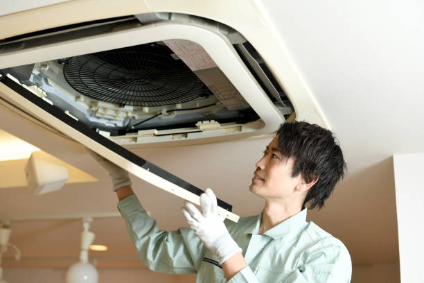 Best Local Air Duct Cleaning Services  in Upper Greenwood Lake, NJ